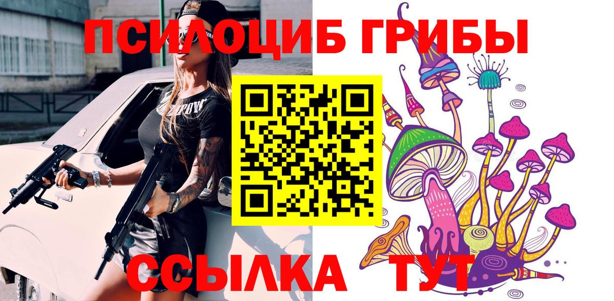 Галлюциногенные грибы Psilocybe  Вход с VPN  Карабулак 