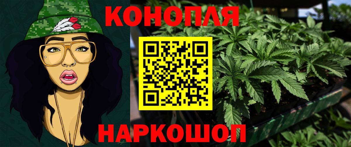 Бошки Шишки семена  Вход с VPN  Шишки марихуана OG Kush  Бошки марихуана Ganja  Карабулак  Канабис план 